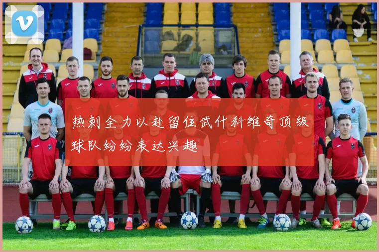热刺全力以赴留住武什科维奇顶级球队纷纷表达兴趣