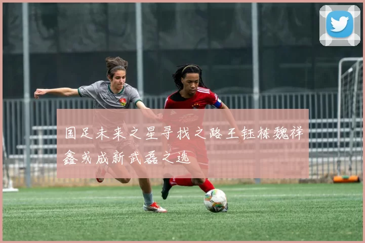 国足未来之星寻找之路王钰栋魏祥鑫或成新武磊之选